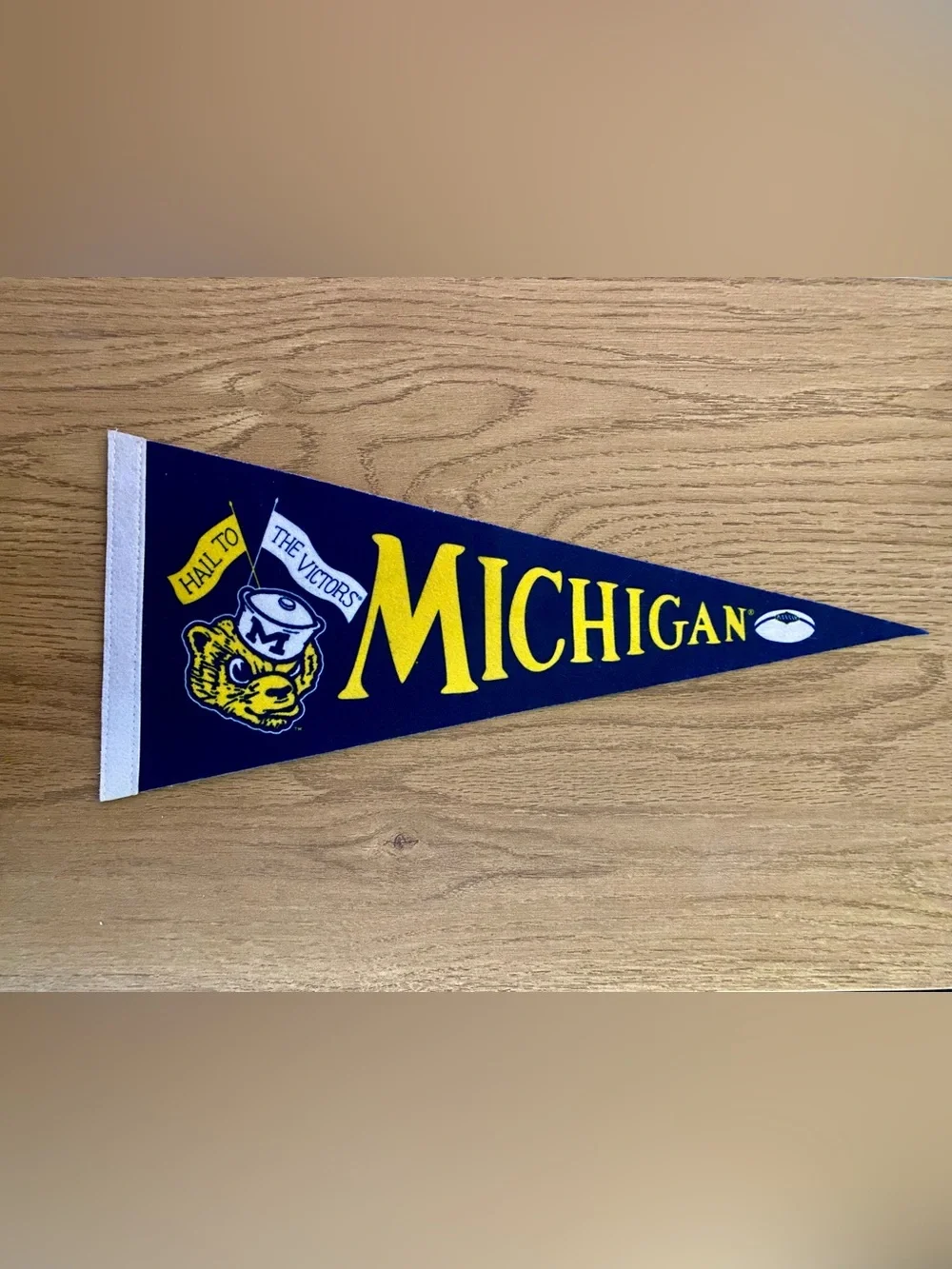 Vintage Michigan Wolverines Hail to the Victors Football Mini Pennant